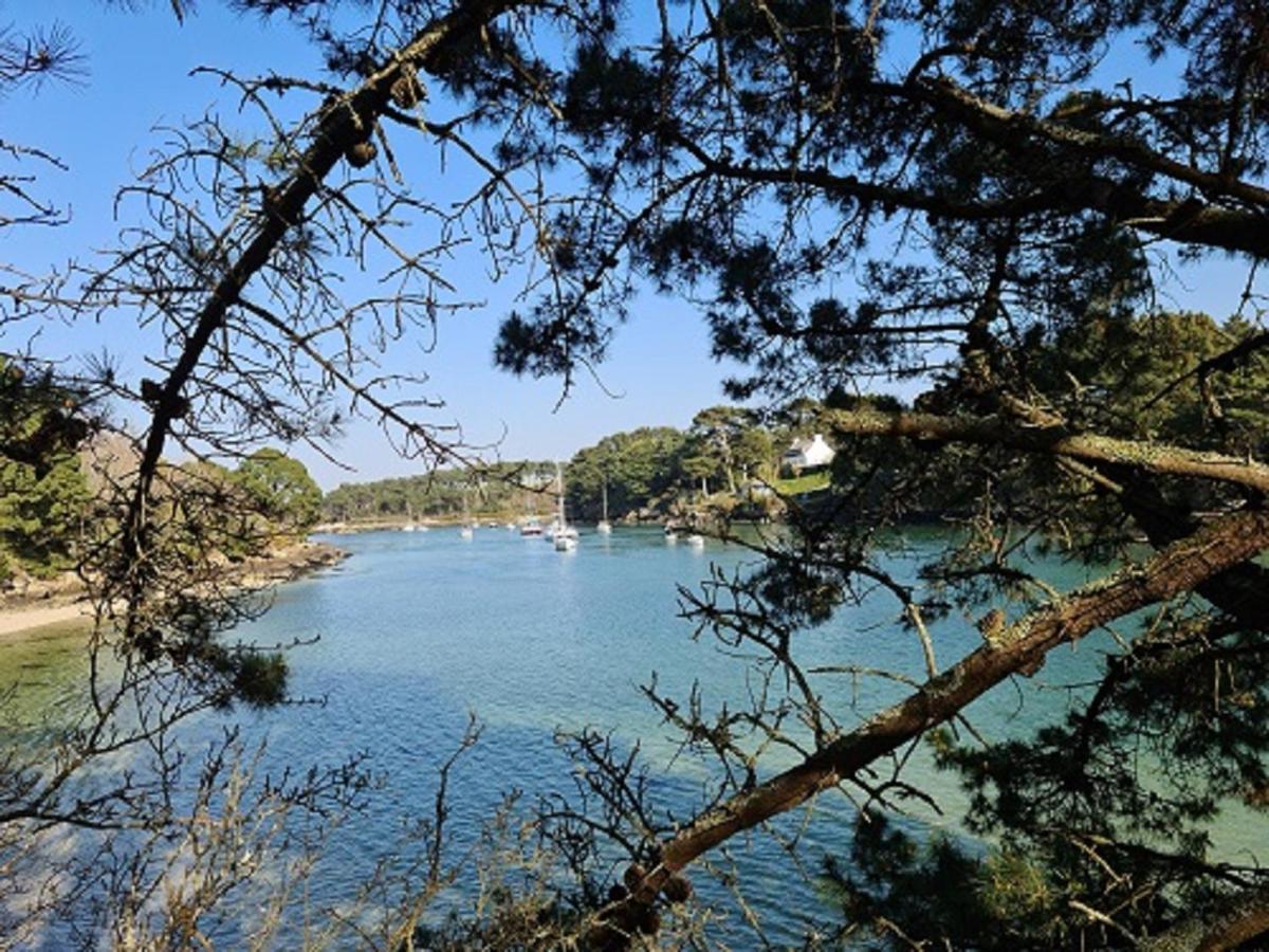 Studio Les Trois Etoiles De Mer Concarneau Exteriör bild